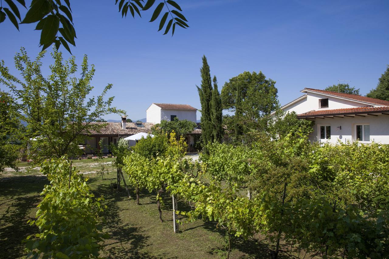 Antico Casale Spezia Pelagalli Aquino Exterior photo